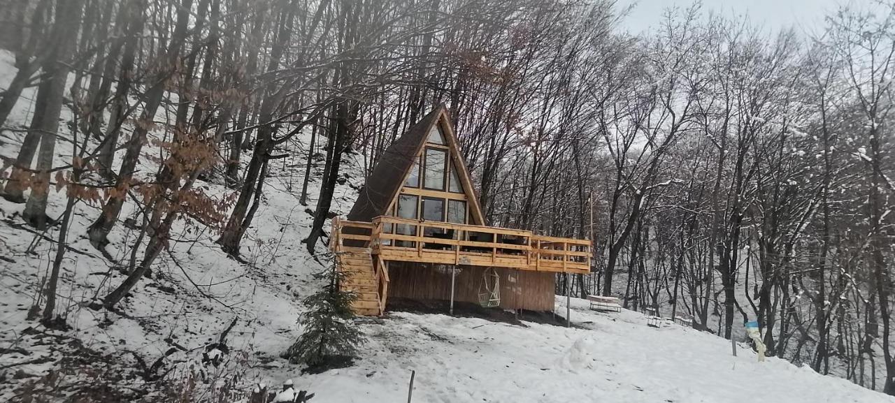 Cabanaaframe Intreaga Proprietate 쿠티에데아게스 외부 사진