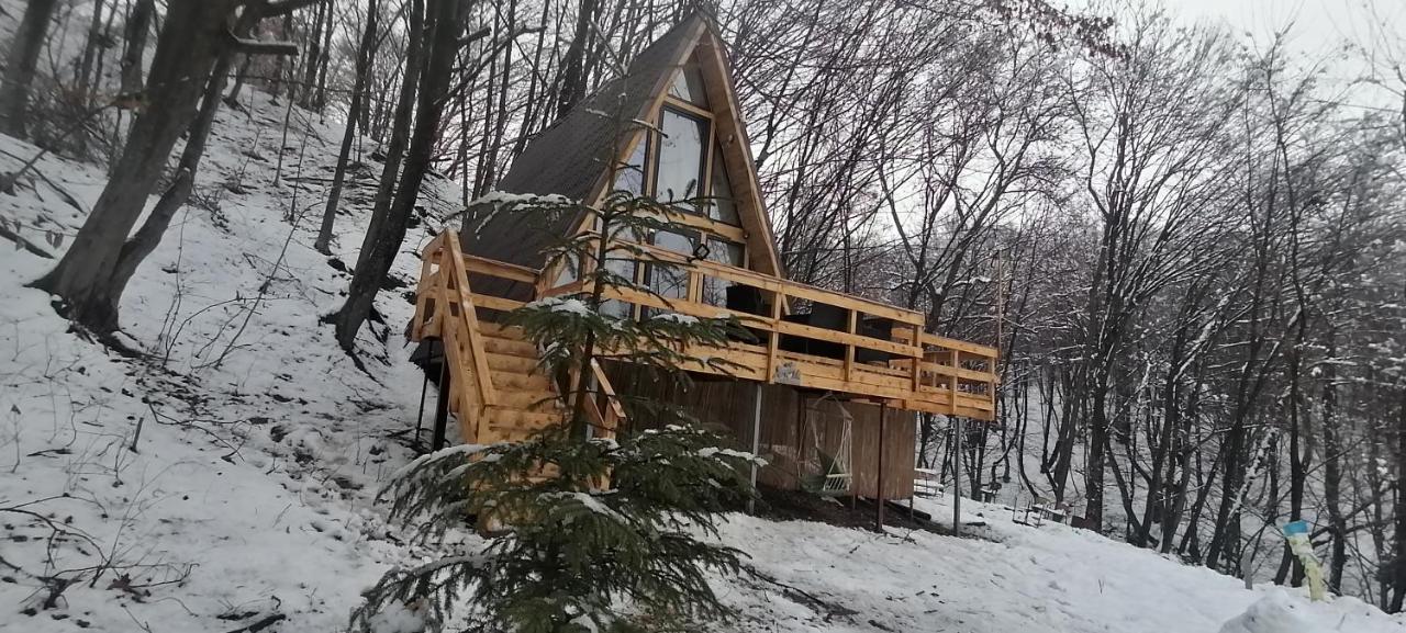 Cabanaaframe Intreaga Proprietate 쿠티에데아게스 외부 사진